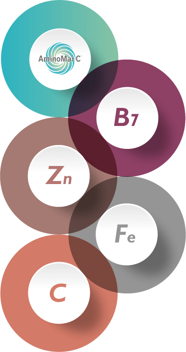 A-Z of Hair Growth Vitamins